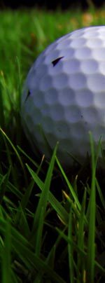 golfball und green